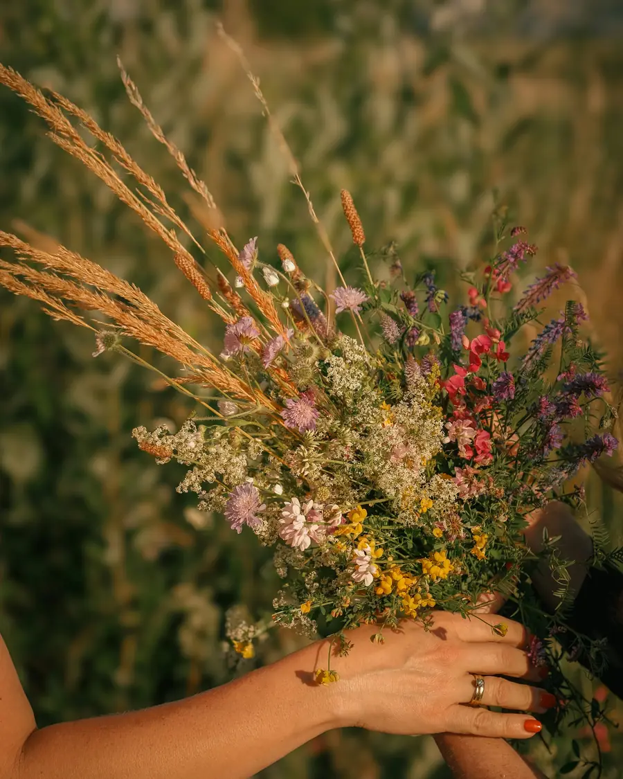 Bouquet de fleurs des champs tenu à la main